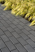 Blu 60mm (6 x 13) Smooth