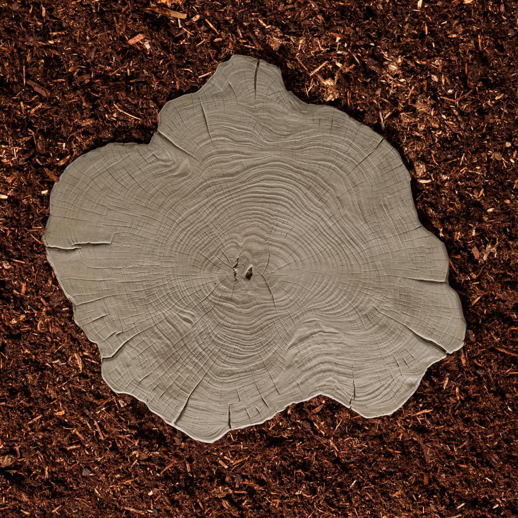 Borealis Slab Stepping Stones
