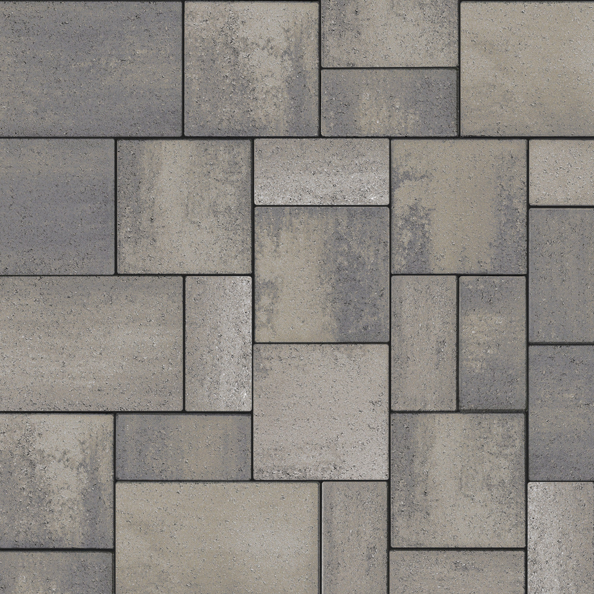Eva Paver (Smooth)
