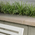 Travertina Raw Cap/Step/Wall (14 x 28)