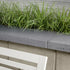 Travertina Raw Cap/Step/Wall (14 x 28)