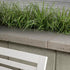 Travertina Raw Cap/Step/Wall (14 x 28)