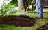 Plantation Mix