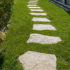 Japanese Path stone