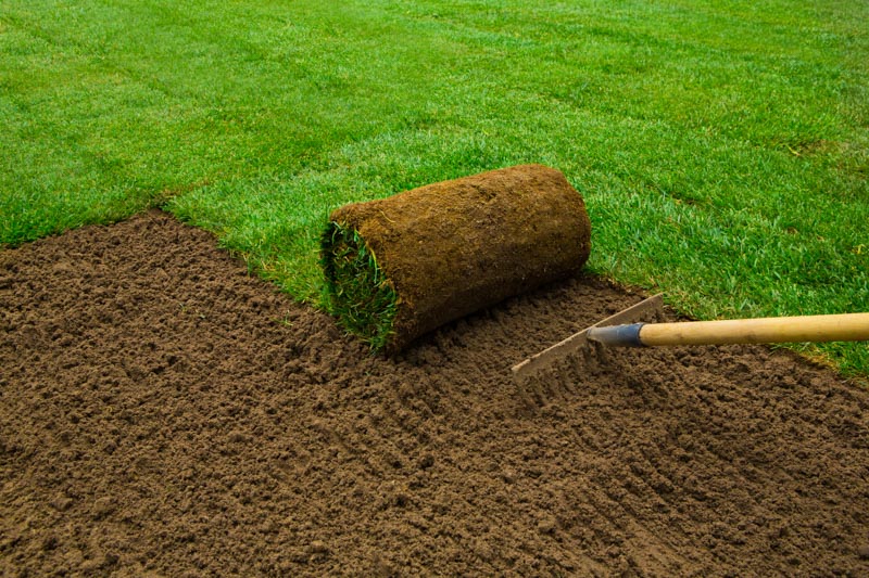 Top Soil