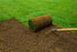 Top Soil